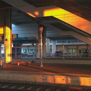 我七子的第一次狂欢
